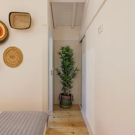 Taipas 60 Apartment *